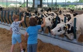 Kinderopvang Tierelier foto 4