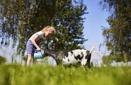 BSO De Belhamels foto 5