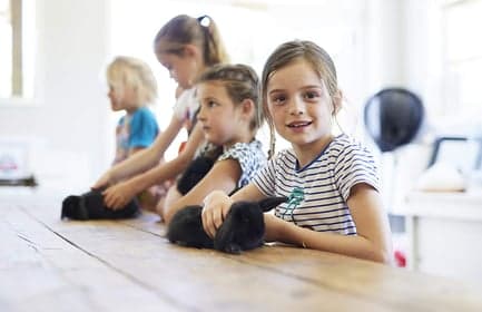 BSO De Belhamels foto 7