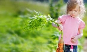 De Speelhoeve B.V. foto 8