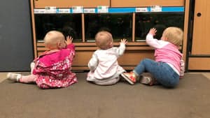 Kinderdagopvang De Tuinkabouter B.V.