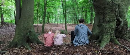 Natuur BSO De Wildernis