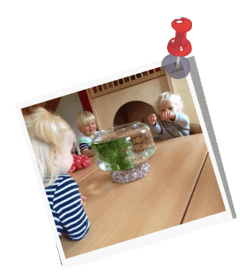 Speulhoes Alette foto 8