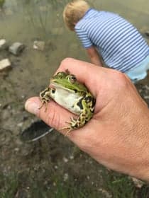 NatuurTuin Zuid foto 6