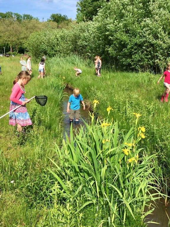 NatuurTuin Zuid foto 7