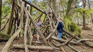 BSO In 't Groen foto 6