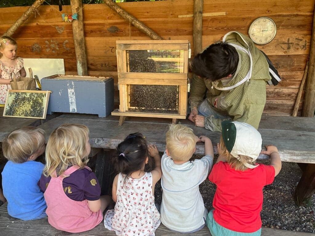 KDV Villa Doomijn Damsterstede foto 9