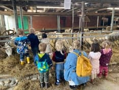 KDV Villa Doomijn Damsterstede foto 10