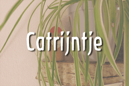 Peuterspeelzaal Catrijntje 2