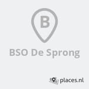 BSO De Sprong foto 4