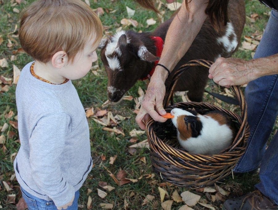 SKSG Boegbeeld foto 6