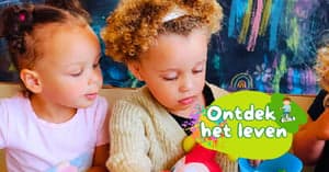 Peuteropvang de Kleine Reiziger Julianadorp foto 6