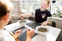 Zo in de Vossenburcht foto 7