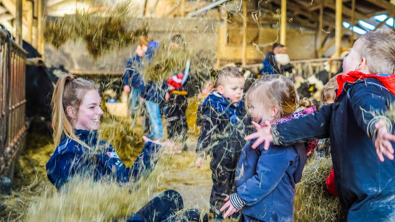 De Loeiende Koe foto 4