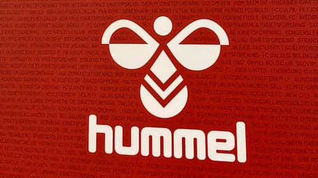 de Hummel foto 8