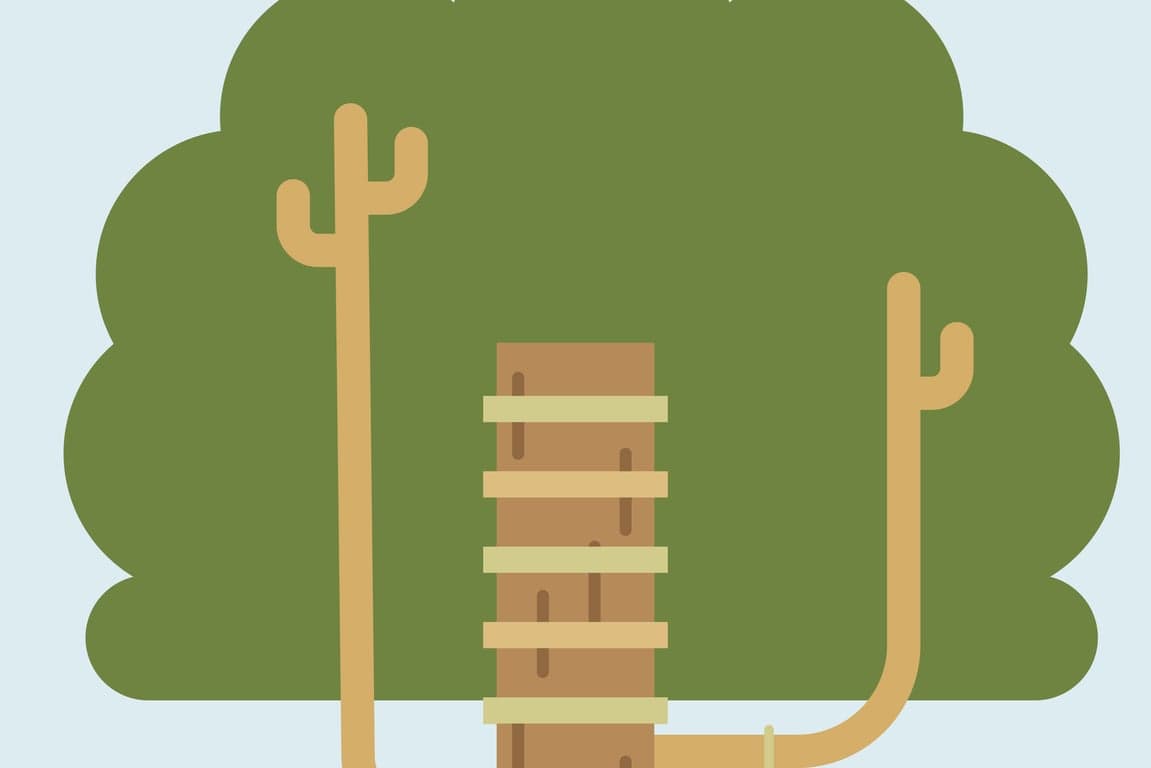 BSO De Boomhut foto 7