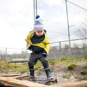 Woest Zuid Wespennest 2