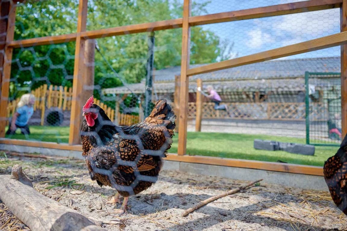 Kinderopvang Tjarietstee foto 5