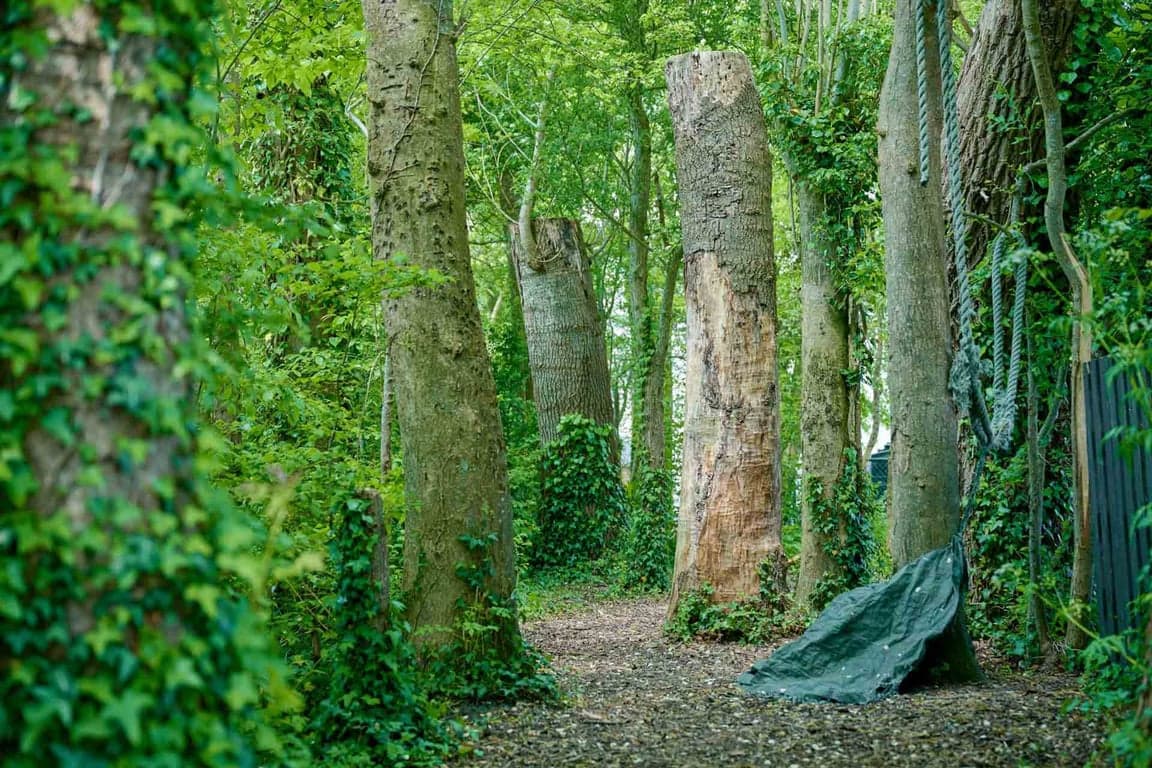 Kinderopvang Tjarietstee foto 6