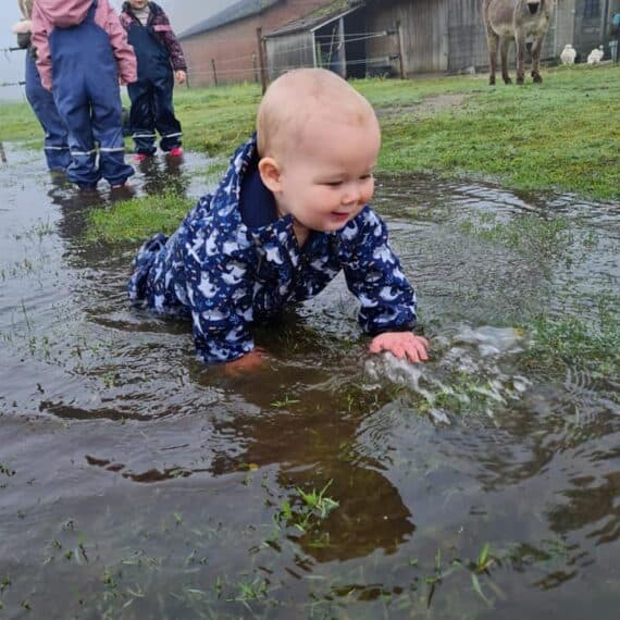 Het Ezeltje foto 8