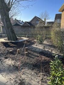 de Springplank foto 7