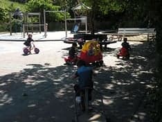 PSZ 't Opstapje foto 6