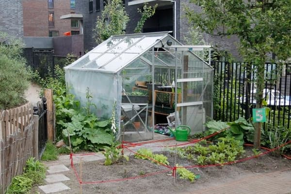 Partou KDV Eva Besnyostraat 491 (IKC Laterna Magica) foto 8