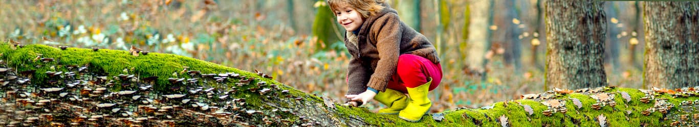 Helden Opvang Oude Arnhemseweg