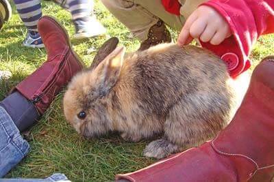 't Klavertje foto 10