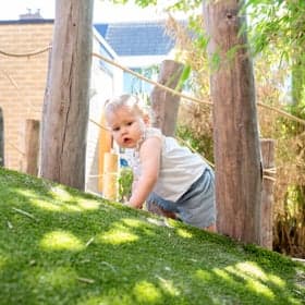 De Toverballenboom 2