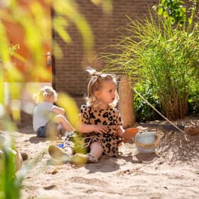 De Toverballenboom 3