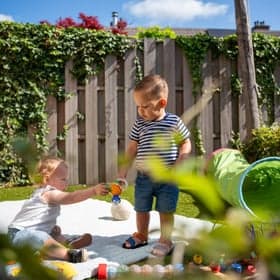 De Toverballenboom foto 4