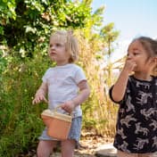 De Toverballenboom foto 6