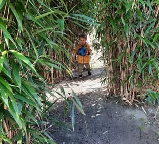 Zo aan de Westgroeneweg 2