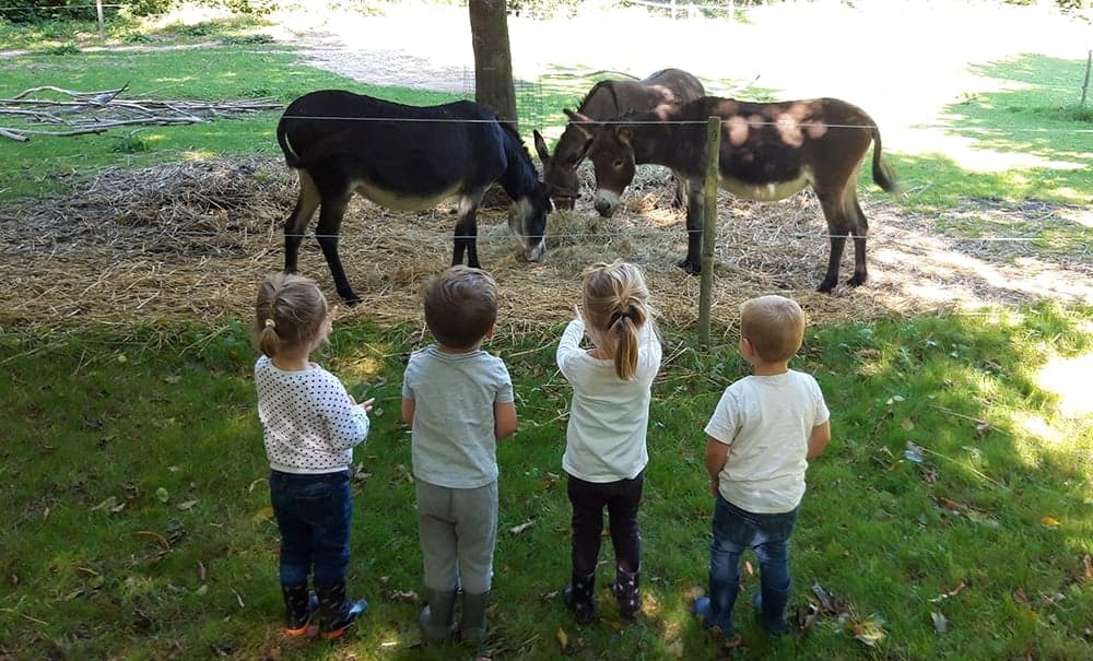Rijckholt Kinderopvang B.V. foto 8