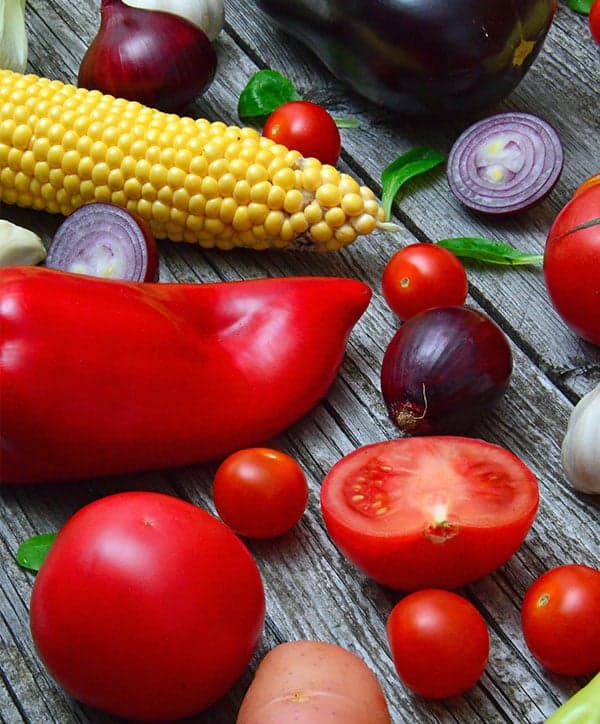 Kinderdagverblijf t Landveno foto 8