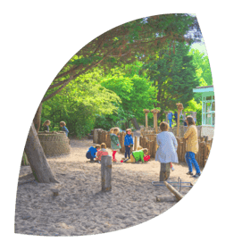 De Vlinderboom op school 2