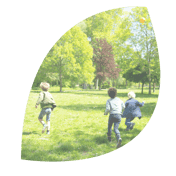 De Vlinderboom op school foto 6