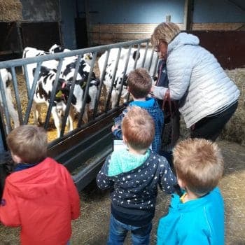 Kleinschalige Kinderopvang DynDei 3