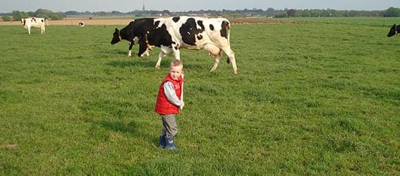 Kinderopvang Ut Buurke B.V. 3