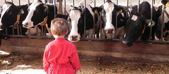 Kinderopvang Ut Buurke B.V. foto 5