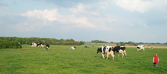 Kinderopvang Ut Buurke B.V. foto 6