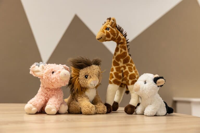 Kinderhotel 't Hofje foto 7