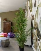 Kindercentrum Kids 'n Ko foto 9