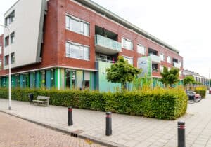 peuteropvang Moos foto 8