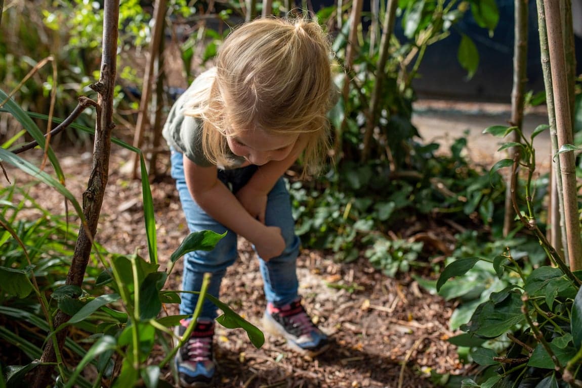 Hokus Pokus W. Schuylenburglaan 3