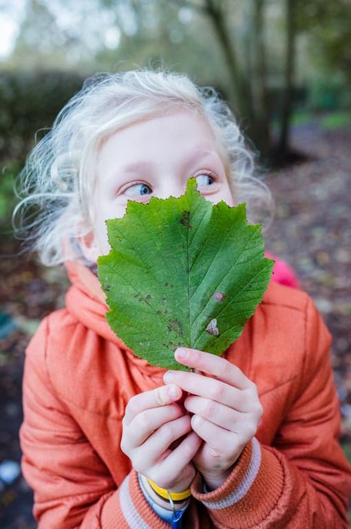 Kindercentrum Bzzzonder De Brink foto 5
