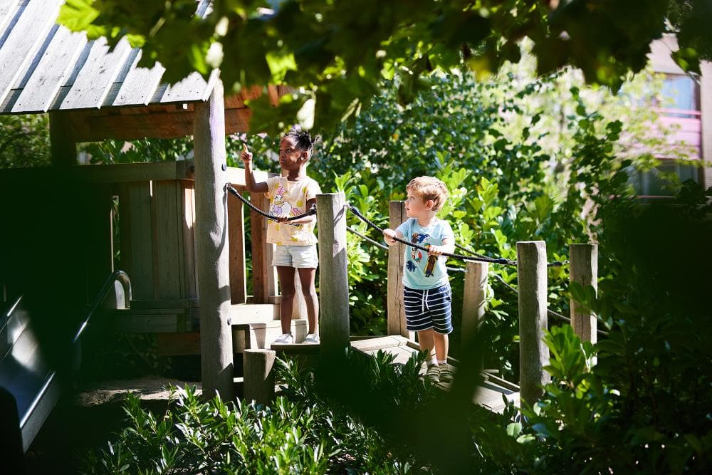 BSO De Vuurvogel foto 6