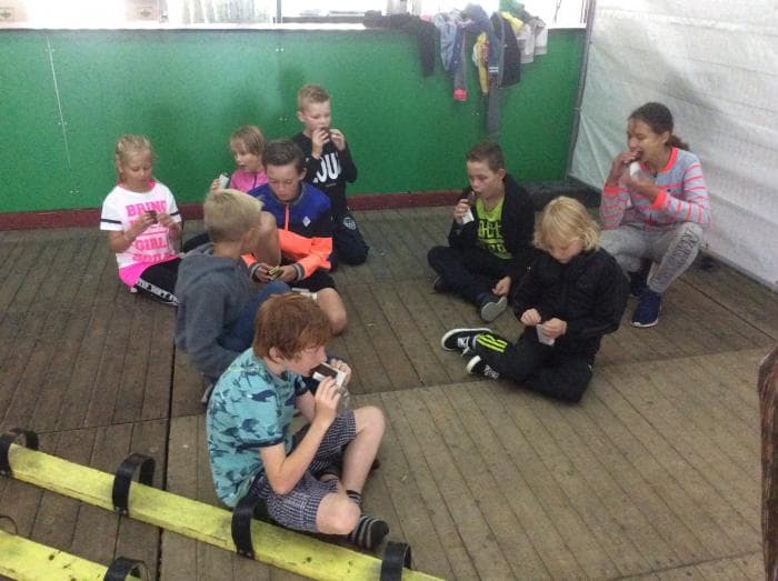 BSO De Polle foto 10