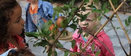 KDV 't Sprookjesland Lelystad B.V. foto 7